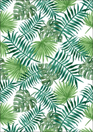 Liście tropikalne - plakat Wymiar do wyboru: 40x50 cm