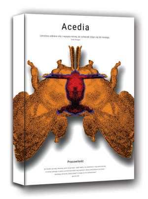 Acedia - obraz na płótnie Wymiar do wyboru: 30x40 cm