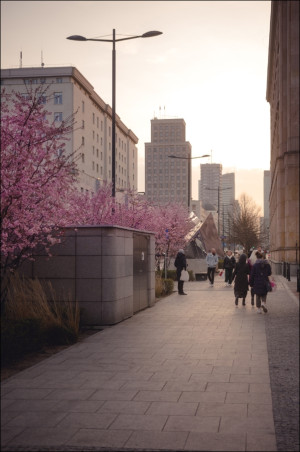 Kwitnąca Warszawa 2 - plakat premium Wymiar do wyboru: 42x59,4 cm