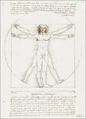 Vitruvian Man, Leonardo Da Vinci -  plakat Wymiar do wyboru: 40x50 cm