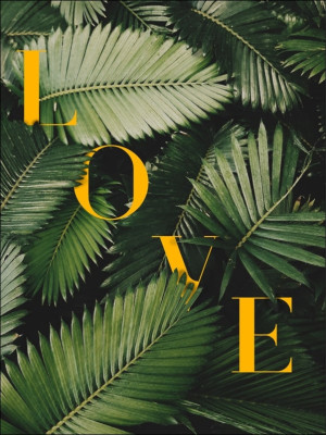 Liście Love - plakat Wymiar do wyboru: 42x59,4 cm