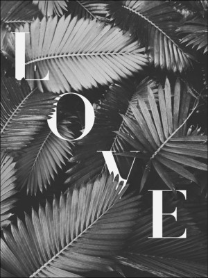 Liście Love BW - plakat Wymiar do wyboru: 60x80 cm