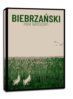 Parki Narodowe, Biebrza - obraz na płótnie Wymiar do wyboru: 50x70 cm