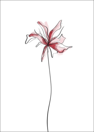 Lilia - plakat Wymiar do wyboru: 20x30 cm