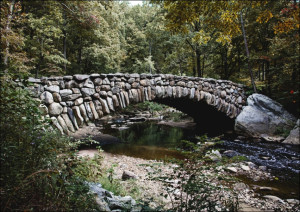 Rock Creek Park, Carol Highsmith - plakat Wymiar do wyboru: 91,5x61 cm