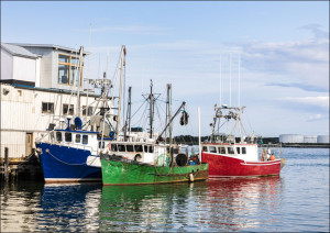 Scene at the busy harbor on Casco Bay in Portland, Maine., Carol Highsmith - plakat Wymiar do wyboru: 42x29,7 cm