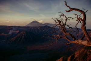 Bromo ver. II - plakat Wymiar do wyboru: 50x40 cm