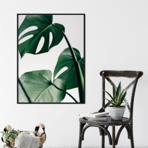 Plakat w ramie - design monstera , wymiary - 20cm x 30cm, ramka - biała