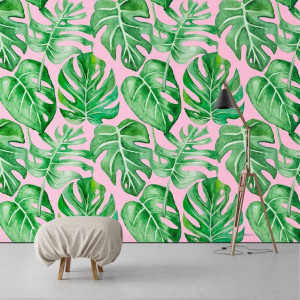 Tapeta na ścianę - monstera sweetness , rodzaj - tapeta flizelinowa laminowana