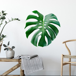 Naklejka na ścianę - monstera design , wymiary naklejki - szer. 90cm x wys. 90cm