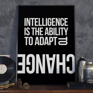 Intelligence is the ability to adapt to change - plakat w ramie , wymiary - 18cm x 24cm, wersja - czarne napisy + białe tło, kolor ramki - biały