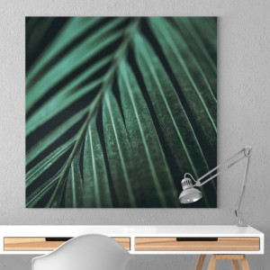 Modny obraz na płótnie - macro tropics , wymiary - 115cm x 115cm