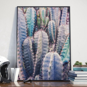 Plakat w ramie - cacti rainbow , wymiary - 30cm x 40cm, ramka - czarna