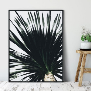 Plakat w ramie - palm sky , wymiary - 50cm x 70cm, ramka - biała