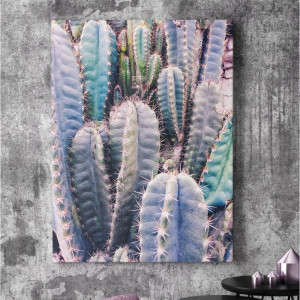 Obraz na płótnie - cactus rainbow , wymiary - 115cm x 170cm