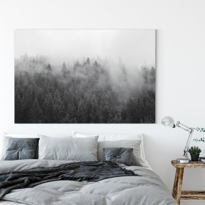 Obraz na płótnie - shadow forest , wymiary - 60cm x 90cm