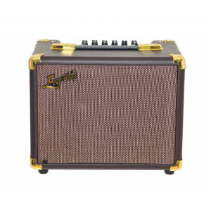 Ever Play A60C - wzmacniacz, combo do gitary akustycznej 60W