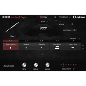 Steinberg Iconica Sections & Players - Wtyczka