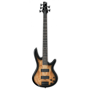 Ibanez GSR205SM-NGT Gitara basowa 5-cio strunowa