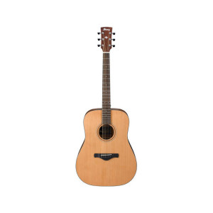 Ibanez AW65-LG Gitara akustyczna