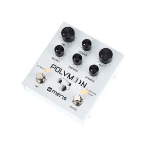 Meris Polymoon efekt delay