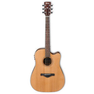 Ibanez AW65ECE-LG gitara elektroakustyczna