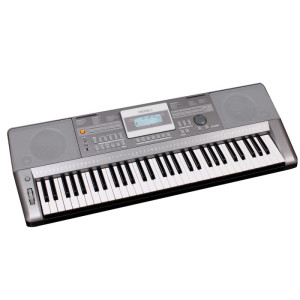 Medeli A-100 - keyboard