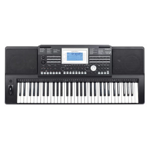 Medeli A-810 - keyboard