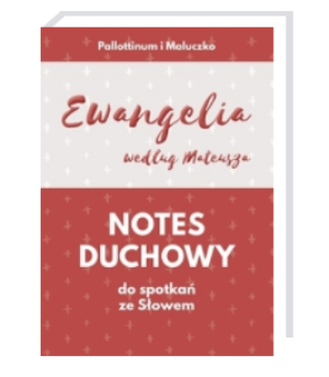 Ewangelia według Mateusza - notes duchowy do spotkań ze Słowem