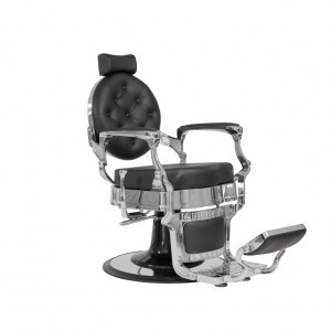 BUZZ SILVER - Friseurstuhl Bedienstuhl Friseursessel Coiffeurstu...