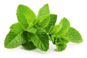 Peppermint - Perfume 100ml