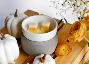 Pumpkin Vanilla Wax Melts