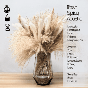Pampas Grass - Αρωματικό χώρου 120ml