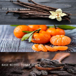 Vanilla Mandarin - Αρωματικό Έλαιο 7ml