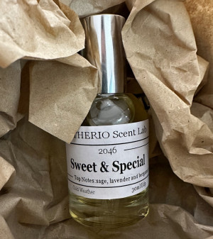Sweet & Special - Body Lotion