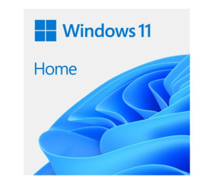 Microsoft Windows 11 Home OEM DVD PL