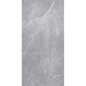 ALUCOM®DESIGN Aragon Silber, PE, 2550x1000