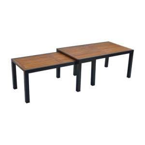 Flex Ausziehtisch 180 (300 ) x 100 cm