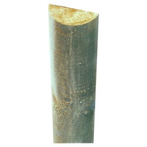 Querriegel 8 x 250 cm
 gefräst, kdi-grün