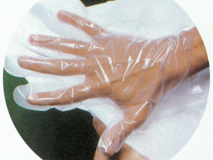 Gima guanti per esplorazione non sterili elasticizzati in copolimeri misura media trasparenti confezione 1000 pezzi