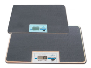 Gima Bilancia Digitale Veterinaria 100kg LCD Sensori Alta Precisione