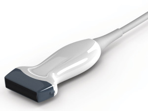 Gima CHISON sonda lineare per ultrasuoni 5,3-10 MHz per serie ECO uso veterinario bianca