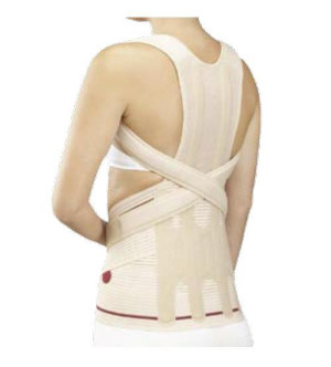 Orione Art. 479  Sostegno Dorsale per Corsetto Lombosacrale Steccato