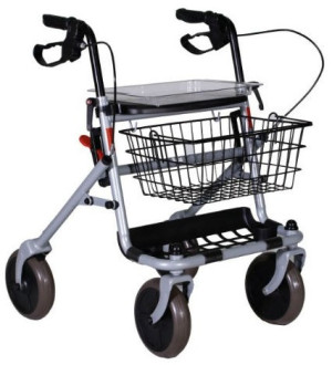 Termigea - Rollator Pieghevole con Sedile e Cestino - Grigio