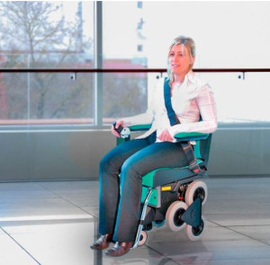 TGR S.r.l. Scoiattolo 2000/L Montascale Mobile a Ruote Senza Installazione