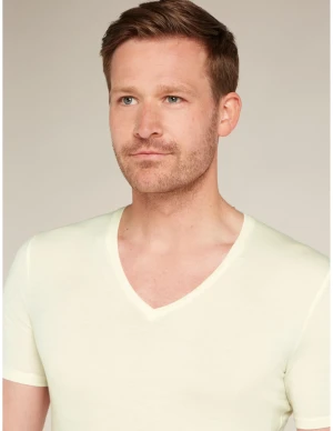 Icebreaker Mens Anatomica V-Neck Tee (Maat - XL, Kleur - Undyed)