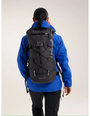 Arc'teryx Alpha FL 20L Rugzak Alpinisme (Maat - Reg, Kleur - BLACK)