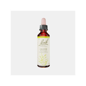 FLORAL BACH OLIVE 20ml