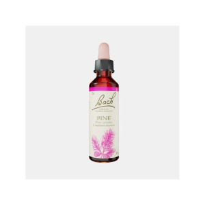 FLORAL BACH PINE 20ml