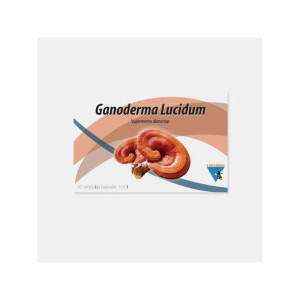 O TIO D'ABELHA GANODERMA LUCIDUM 20 AMPOLAS